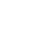 safelite